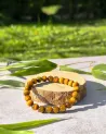 Bracelet Œil de Tigre -AAA- Perle 8mm : Élégance | Puissance